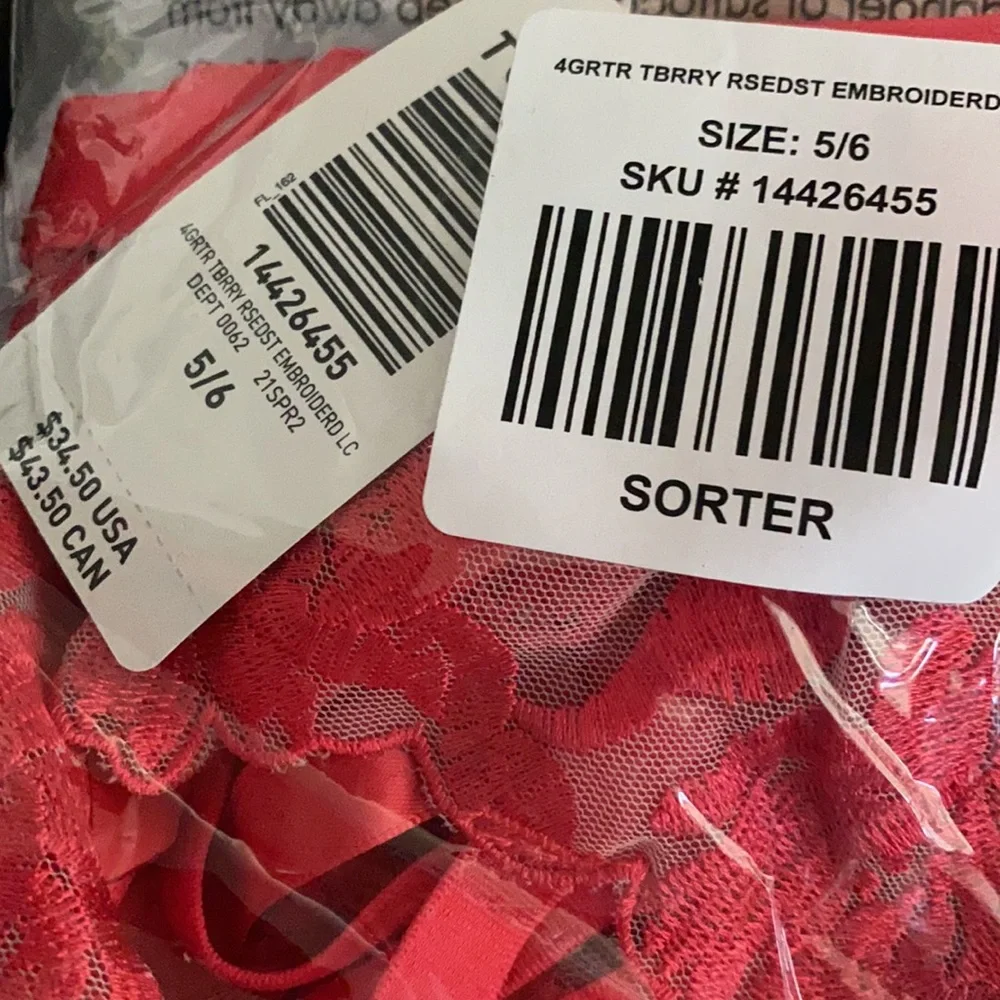 NWT TORRID Mesh Embroidered Garter Belt - Picture 8 of 8